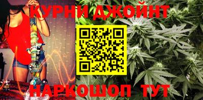 гашик Краснодар