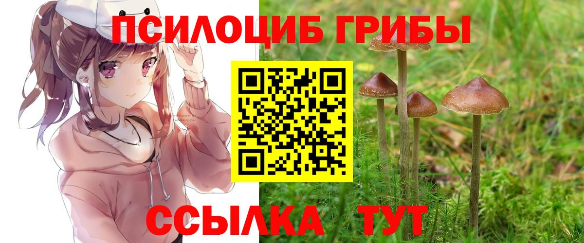 Галлюциногенные грибы GOLDEN TEACHER Арсеньев