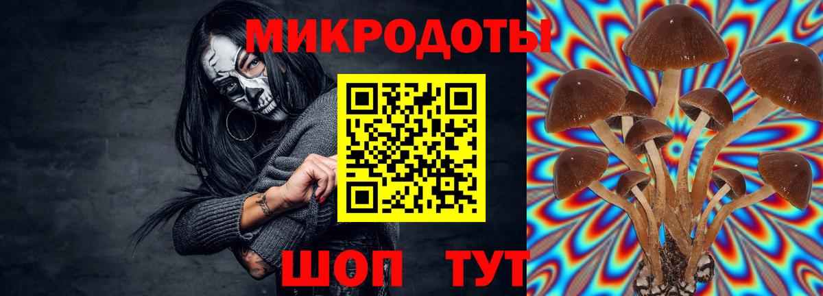 Галлюциногенные грибы Psilocybine cubensis  Псилоцибиновые грибы Psilocybine cubensis  Арсеньев  Вход с VPN 